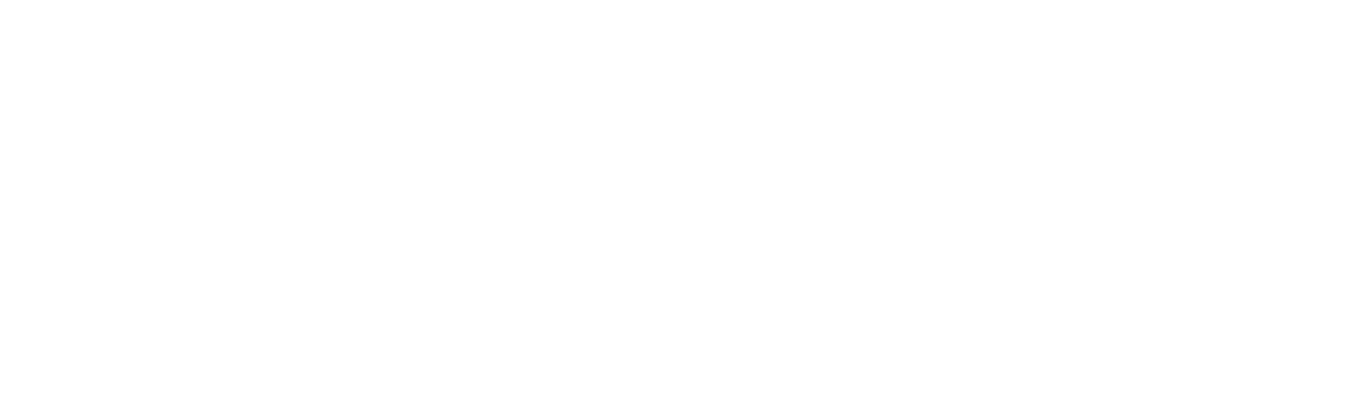 Sonic AI Logo